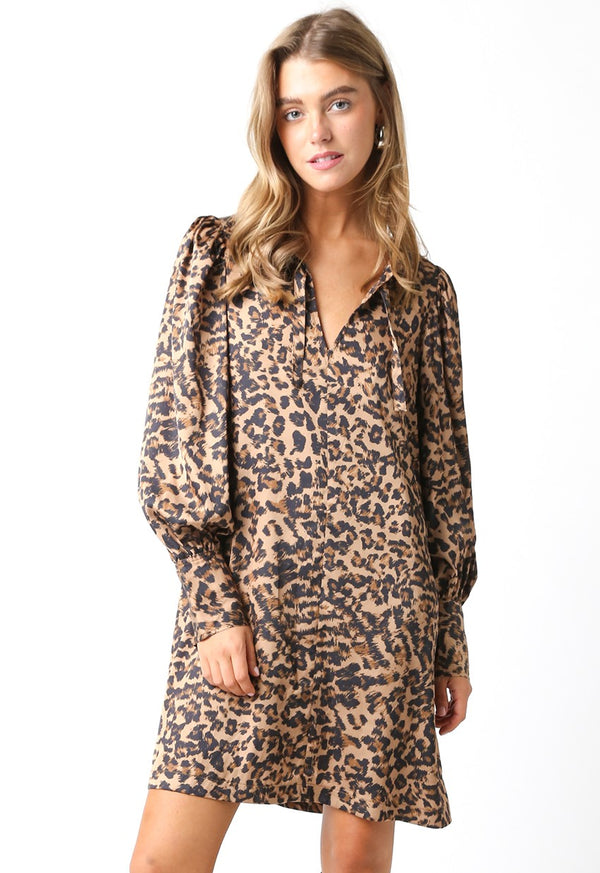 Leopard Dress