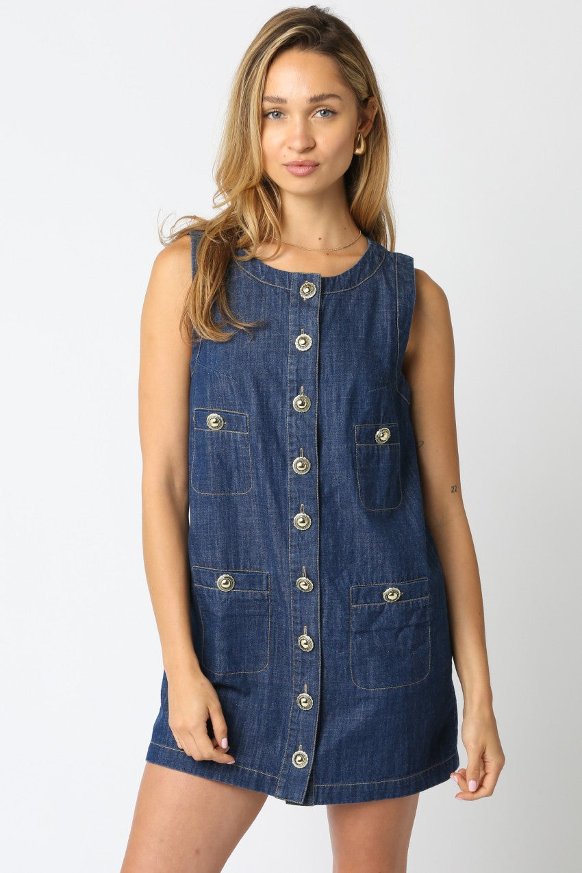 Katrina Button Down Denim Dress
